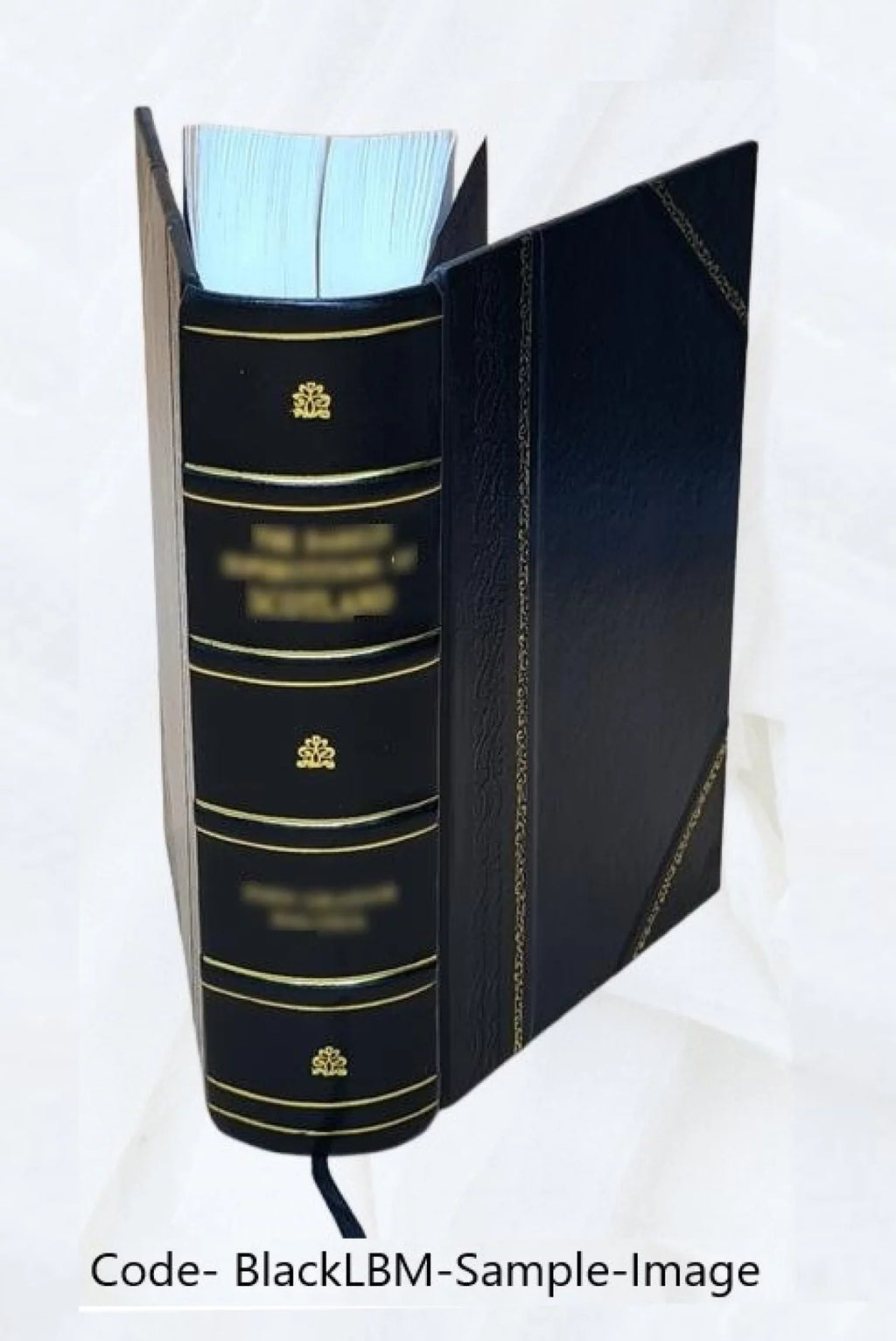 Æschyli tragœdiæ / ex editione Stanleii ; latine redditæ et ad editionem græcam Schutzii accommodatæ. 1819 [Leather Bound]