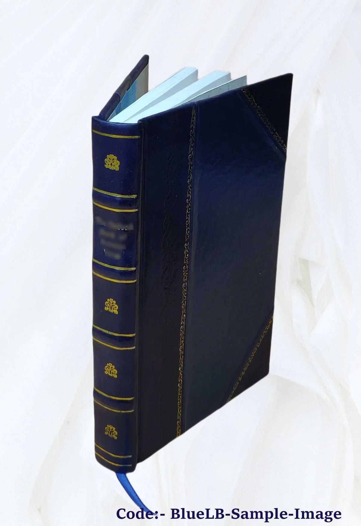 Leyes y reglamentos sobre privilegios de invención y marcas de fábrica en los países Hispano-Americanos, el Brasil y la República de Haití. 1904 [Leather Bound]