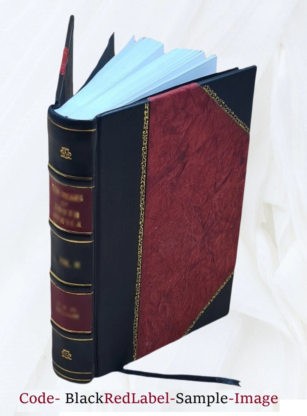 La "Petite Hermine" de Jacques Cartier, et diverses monographies historiques, par N.-E. Dionne. 1913 [Leather Bound]